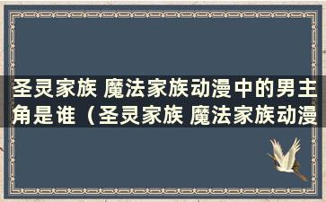 圣灵家族 魔法家族动漫中的男主角是谁（圣灵家族 魔法家族动漫中的男主角是谁）